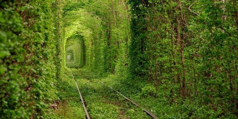 جنگل تونل عشق رومانی