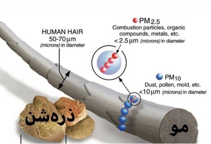 ذرات اکسیداتیو PM ۲.۵-هفت گرد