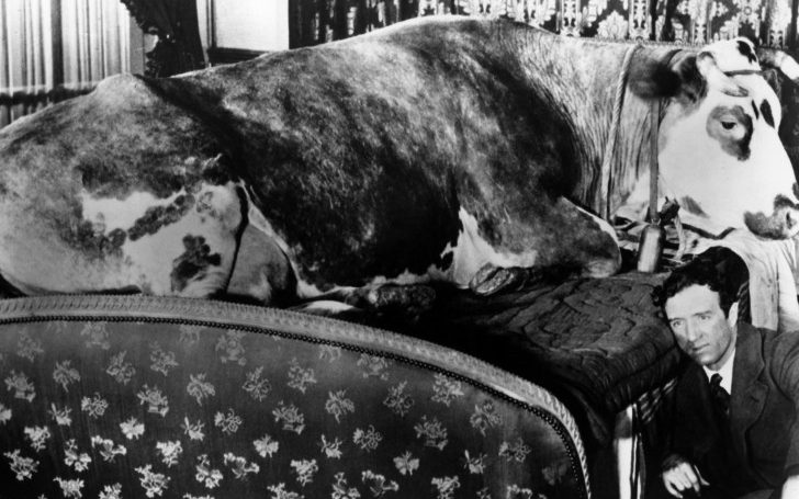 فیلم سگ آندلسی - هفتگرد