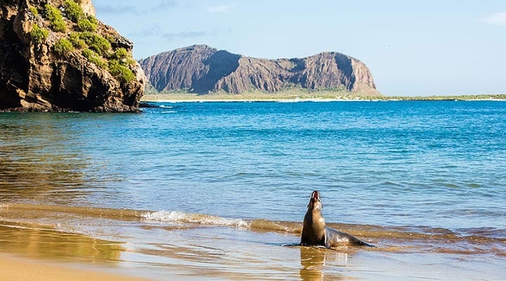 جزایر تماشایی گالاپاگوس-هفت گرد