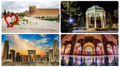 شیراز مقصد نوظهور بیماران در خاورمیانه