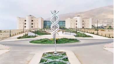 “گامی بلند در نوآوری: پژوهشگاه ژنتیک صاحب پردیس و پارک فناوری شد”