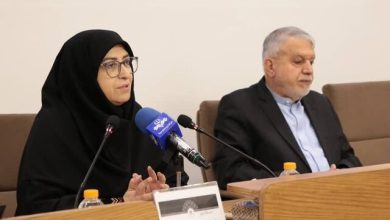 پیشنهاد شینا انصاری برای مقابله با بحران فرونشست در بناهای تاریخی