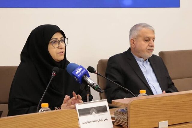 پیشنهاد شینا انصاری برای مقابله با بحران فرونشست در بناهای تاریخی