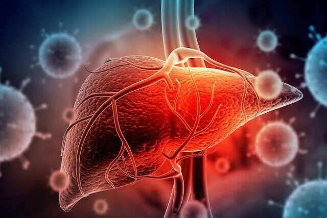 درمان بیماریهای کبدی با کمک سلولهای بنیادی