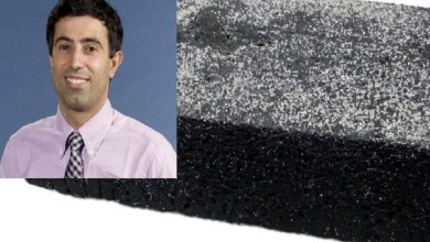 معماری سبز، دانشمند ایرانی نیما رهبر، با جذب کربن، به نبرد اقلیم رفت