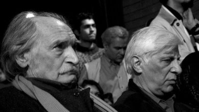 محمود دولت‌آبادی: دریغ بیضایی!