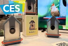 دانه‌خوری هوشمندی که پرندگان را از آوازشان می‌شناسد