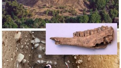 کشف شواهد پیش از تاریخ در قلعه فلکالافلاک؛ گامی مهم برای ثبت جهانی