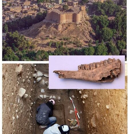 کشف شواهد پیش‌ از تاریخ در قلعه فلک‌الافلاک؛ گامی مهم برای ثبت جهانی