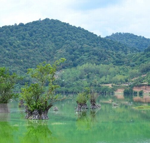 ۲۲ تالاب کشور سنددار شدند