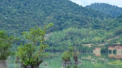 ۲۲ تالاب کشور سنددار شدند
