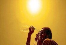 کلافگی در روزهای داغ؛ راهنمای سبک زندگی برای فرار از گرمازدگی