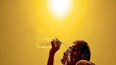 کلافگی در روزهای داغ؛ راهنمای سبک زندگی برای فرار از گرمازدگی